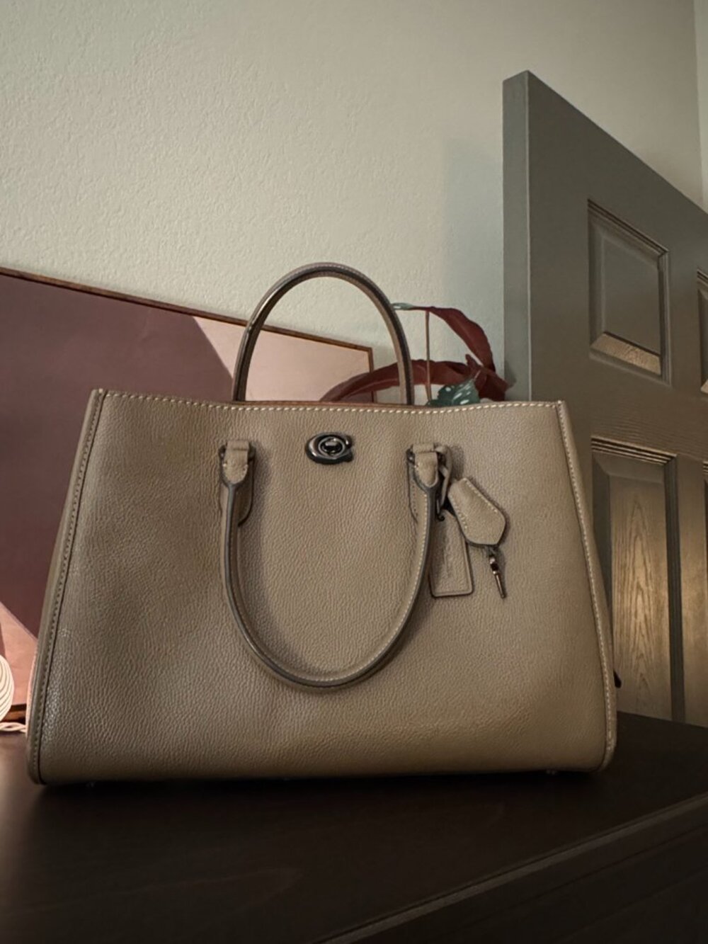 Coach Brooke Carryall Stone